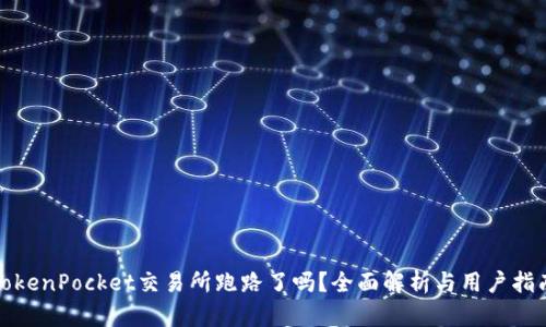 TokenPocket交易所跑路了吗?全面解析与用户指南