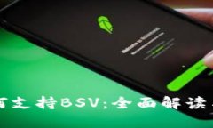 TP钱包如何支持BSV：全面解读与用户指