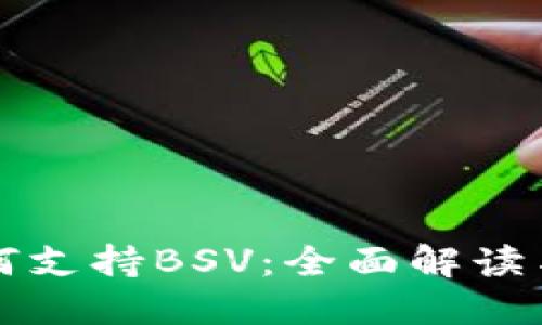 TP钱包如何支持BSV:全面解读与用户指南