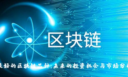 最好的区块链品种:未来的投资机会与市场分析