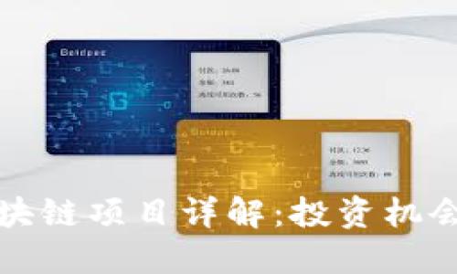 桐庐重点区块链项目详解：投资机会与未来发展