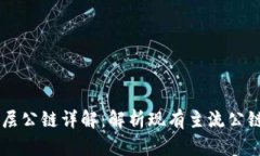 区块链底层公链详解：解析现有主流公