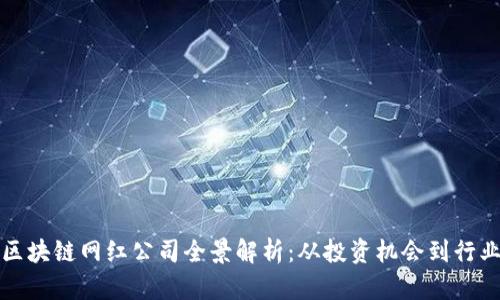 海南区块链网红公司全景解析:从投资机会到行业动态