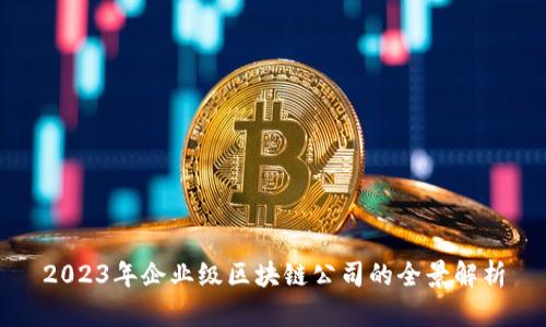 2023年企业级区块链公司的全景解析
