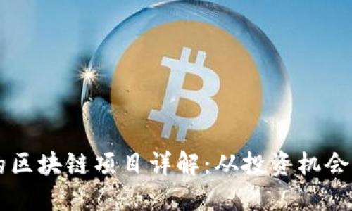 一亿美元的区块链项目详解:从投资机会到技术应用