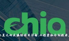 一亿美元的区块链项目详解：从投资机