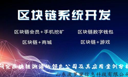 研究区块链溯源的领先公司及其应用案例分析