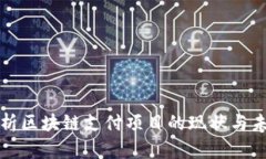 深入分析区块链支付项目的现状与未来