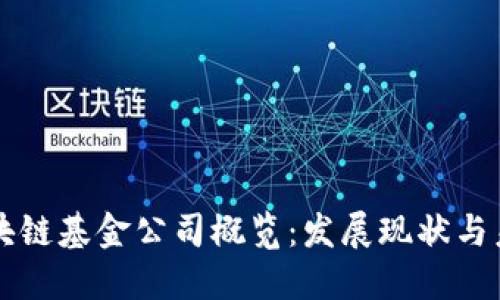 印度区块链基金公司概览:发展现状与未来趋势