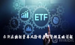 示例区块链资本风险特点及管理策略详
