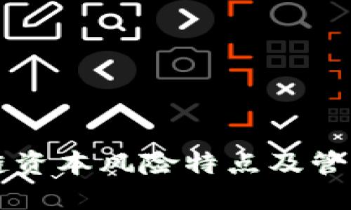 示例区块链资本风险特点及管理策略详解