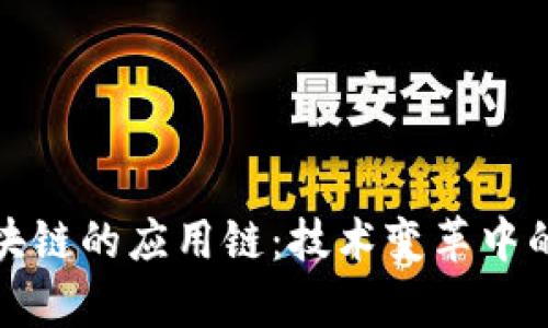 探索区块链的应用链:技术变革中的新前沿
