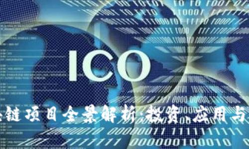 庐山区块链项目全景解析:投资、应用与未来趋势