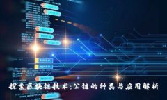 探索区块链技术：公链的种类与应用解