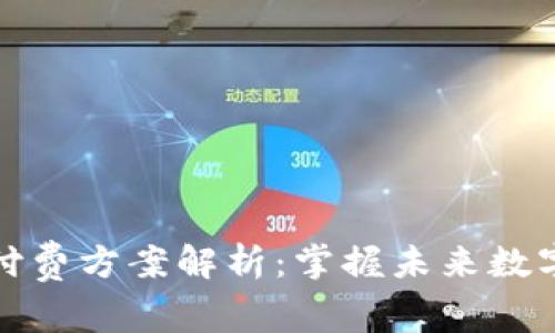区块链知识付费方案解析:掌握未来数字经济的关键