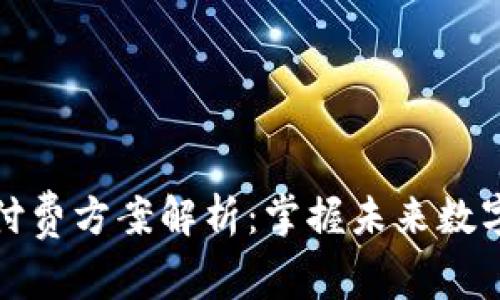 区块链知识付费方案解析:掌握未来数字经济的关键
