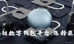 全面分析区块链数字钱包平台：选择最