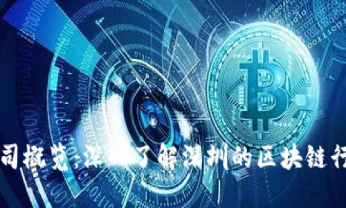 深圳区块链公司概览:深入了解深圳的区块链行业现状与发展