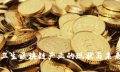 公共卫生区块链产业的现状与未来发展