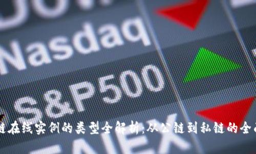 区块链在线实例的类型全解析：从公链到私链的全面介绍