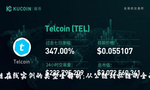 区块链在线实例的类型全解析：从公链到私链的全面介绍