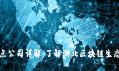 湖北区块链节点公司详解：了解湖北区