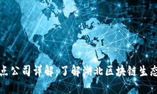 湖北区块链节点公司详解:了解湖北区块链生态的关键参与者