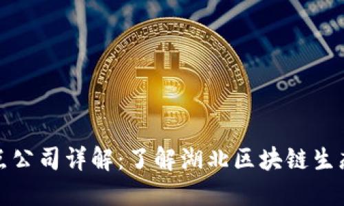湖北区块链节点公司详解:了解湖北区块链生态的关键参与者