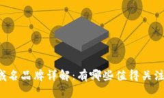 国内区块链域名品牌详解：有哪些值得