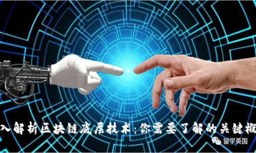 深入解析区块链底层技术:你需要了解的关键概念