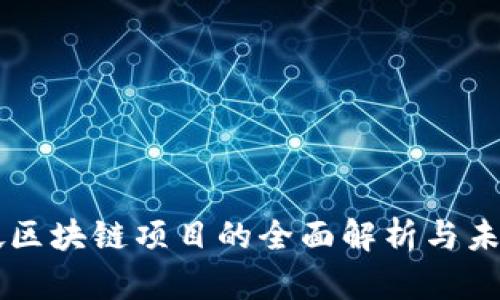 新加坡区块链项目的全面解析与未来展望