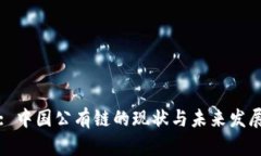 : 中国公有链的现状与未来发展
