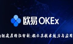 区块链底层特征分析：揭示其技术魅力