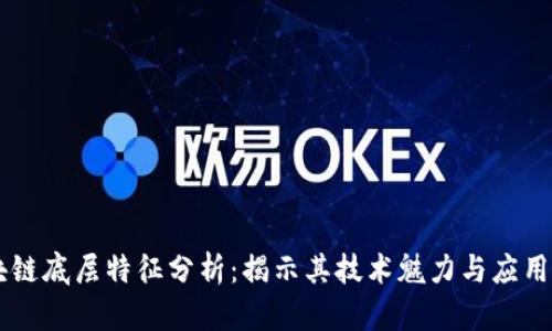 区块链底层特征分析：揭示其技术魅力与应用潜力