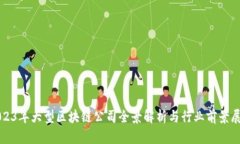 2023年大型区块链公司全景