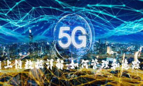 tp钱包以太链上链数据详解：如何管理和追踪您的数字资产