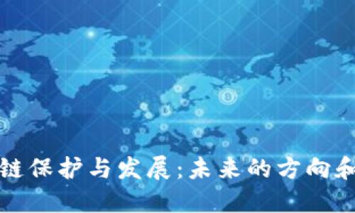 区块链保护与发展：未来的方向和趋势