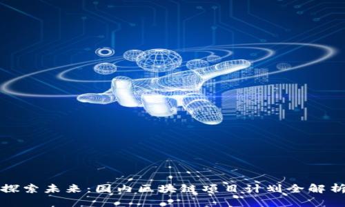 探索未来：国内区块链项目计划全解析