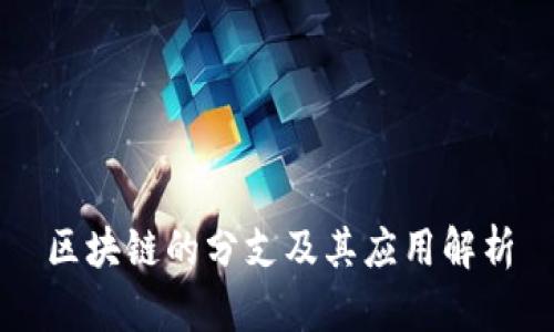 区块链的分支及其应用解析