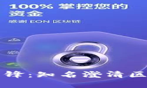 区块链行业的透明先锋：知名澄清区块链公司的全景分析