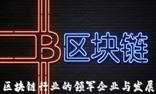 
中国区块链行业的领军企业与发展现状