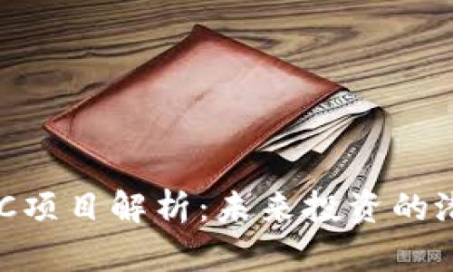 区块链ENC项目解析：未来投资的潜力与趋势