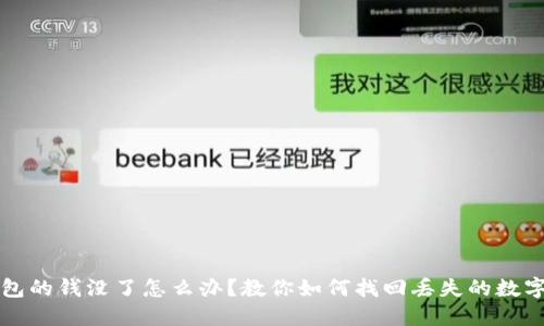 TP钱包的钱没了怎么办？教你如何找回丢失的数字资产