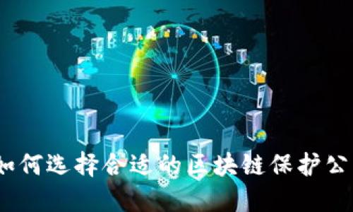 : 如何选择合适的区块链保护公司？