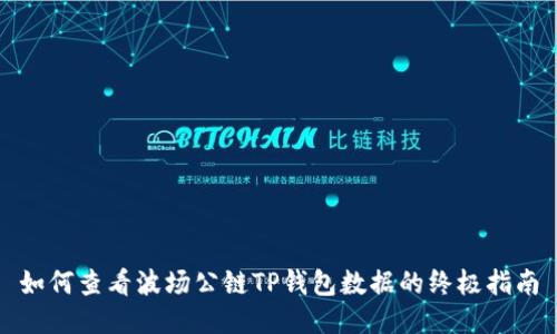 如何查看波场公链TP钱包数据的终极指南