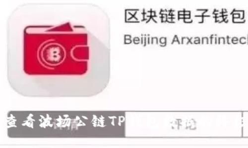 如何查看波场公链TP钱包数据的终极指南