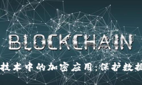 区块链技术中的加密应用：保护数据的未来