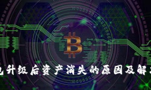 TP钱包升级后资产消失的原因及解决方案