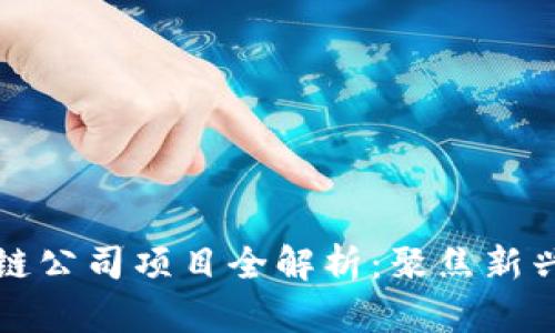 蔡甸区区块链公司项目全解析：聚焦新兴技术的未来