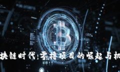 区块链时代：零撸项目的